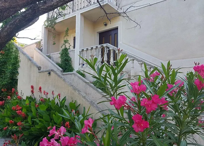 Maestral-nmf * سوبيتارسكا دراغا